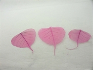 Pink Skeleton Leaves ,Packs of 100 , Ideal for craft, scrapbooks, floral arrangers, Mothers day , Valentine's 