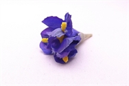 40 Superb Purple Tulip Flower  Heads - Great Value & Quality 